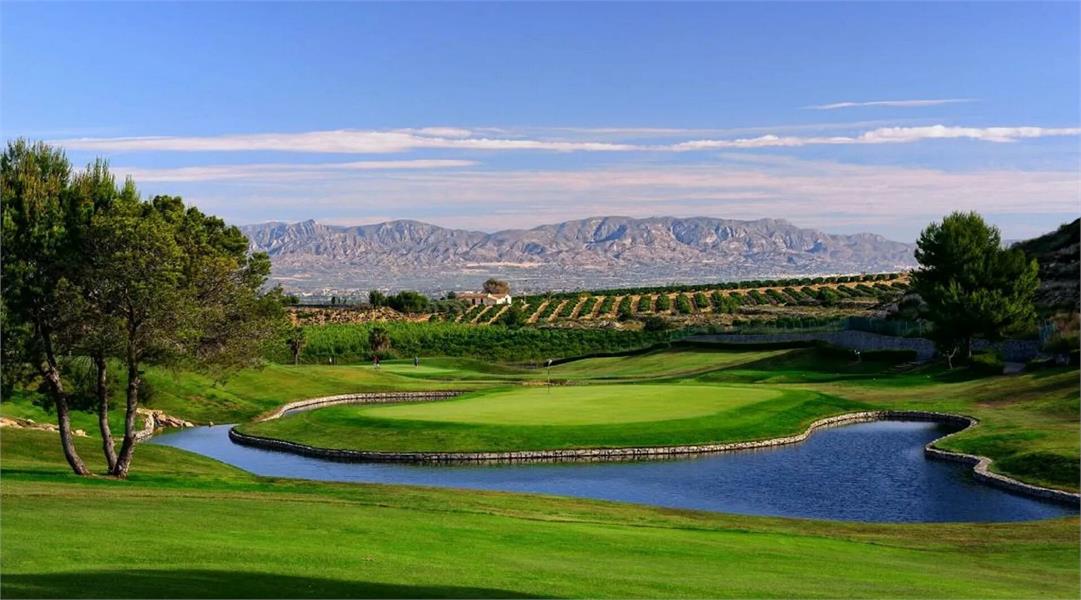 NIEUWBOUW WONINGEN IN LA FINCA GOLF foto 23