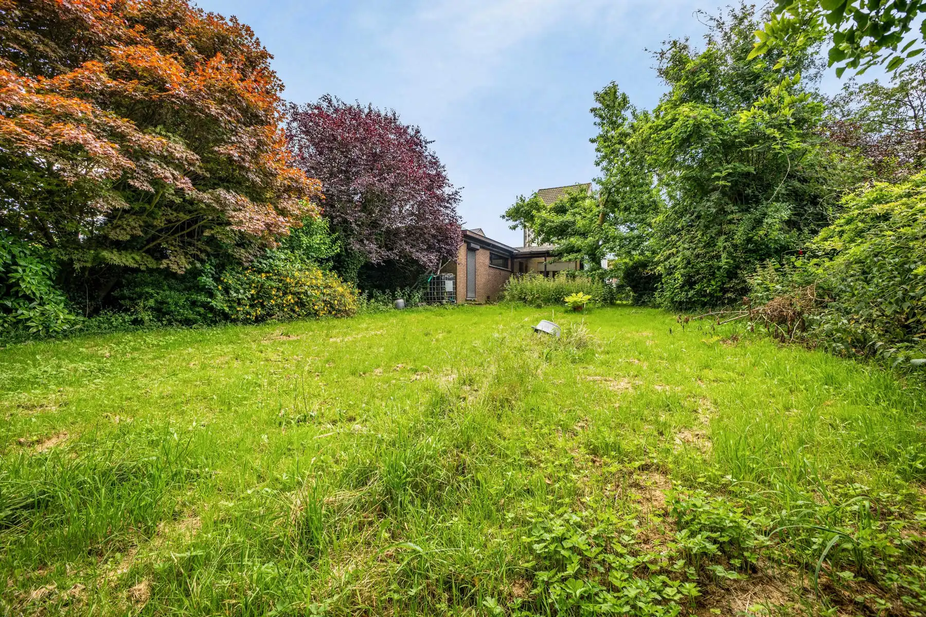 Rustig gelegen woning met grote tuin foto 3