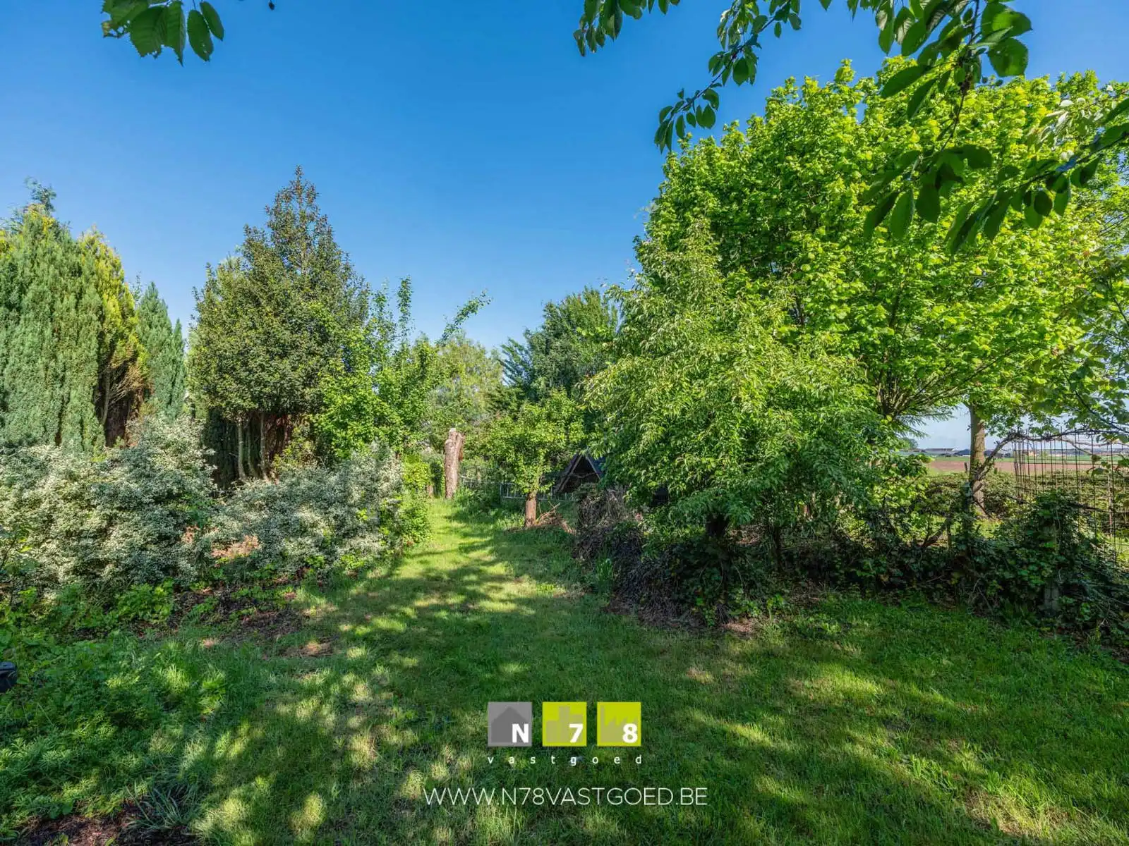 Huis te koop foto 53
