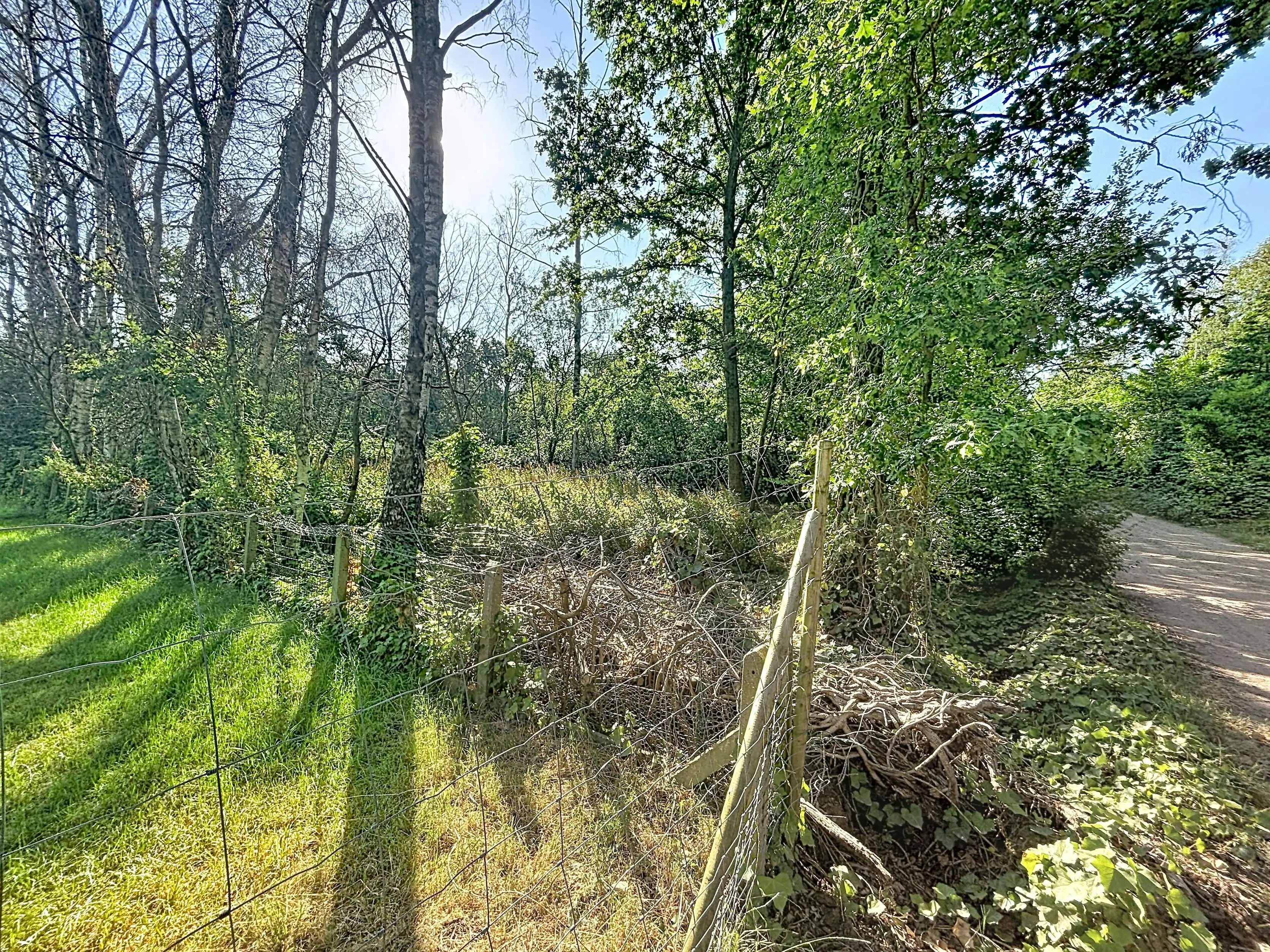 Rustig gelegen grond (ca. 1.010 m²) te koop in Wuustwezel foto 9