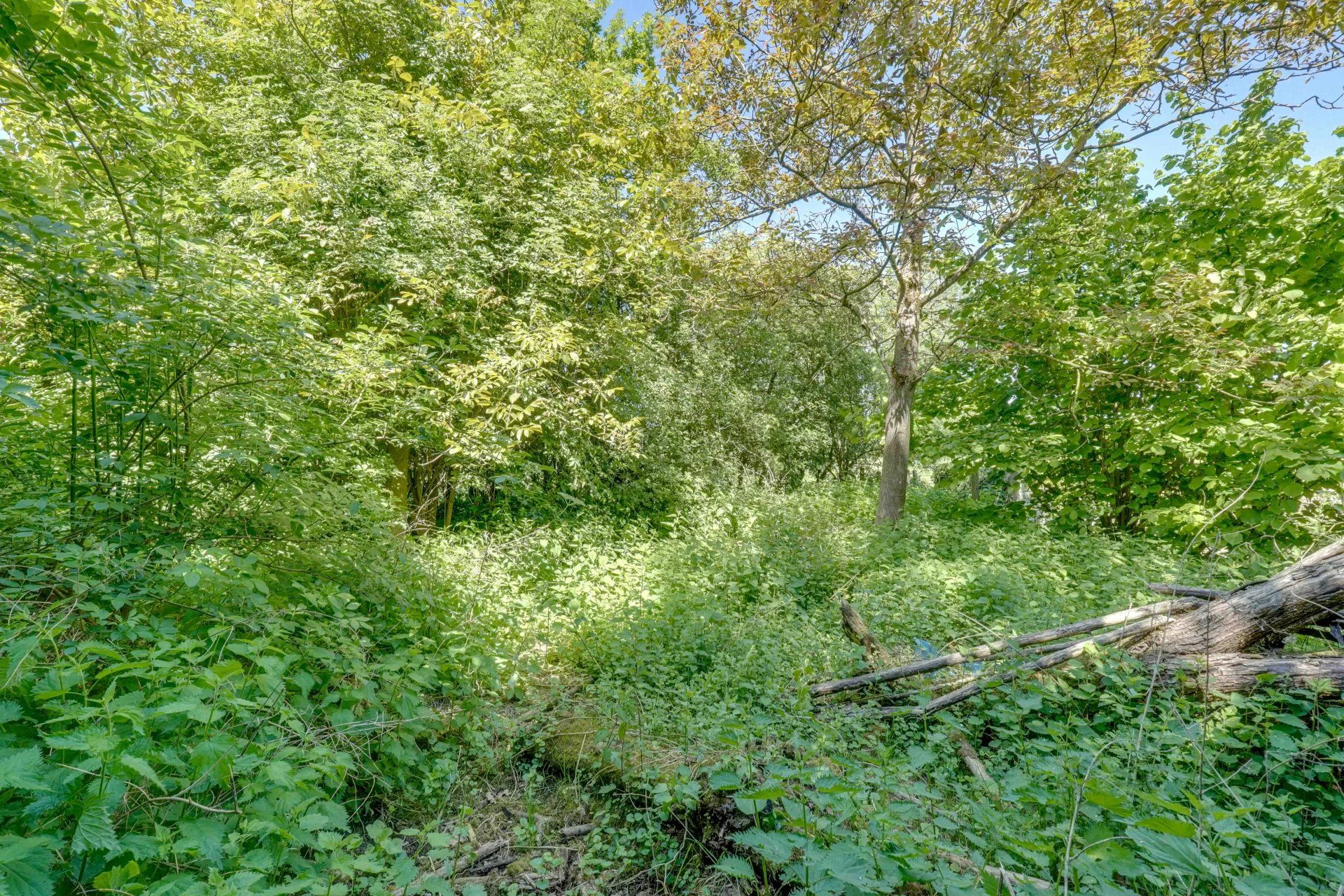 Te renoveren hoeve met binnenkoer en stallingen foto 16