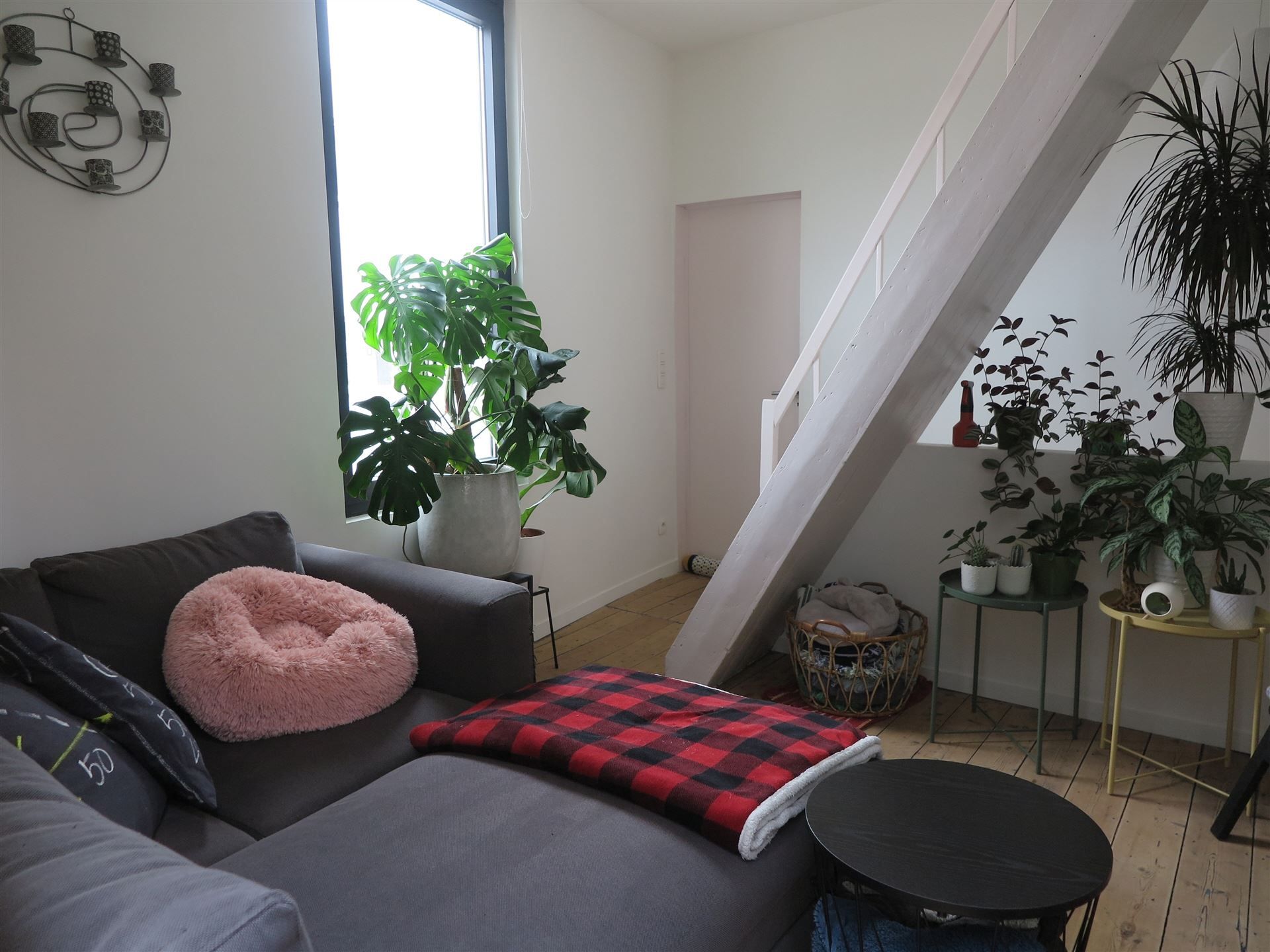 lichtrijk huis met 2 kamers en terras foto 5