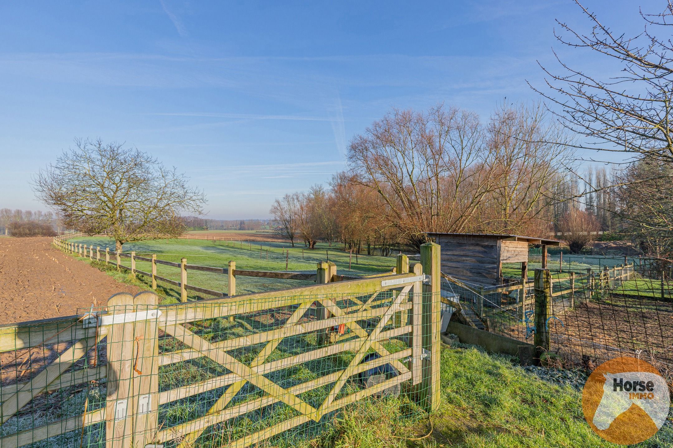 HERZELE - Open bebouwing  met ruime Loods en weides foto 28