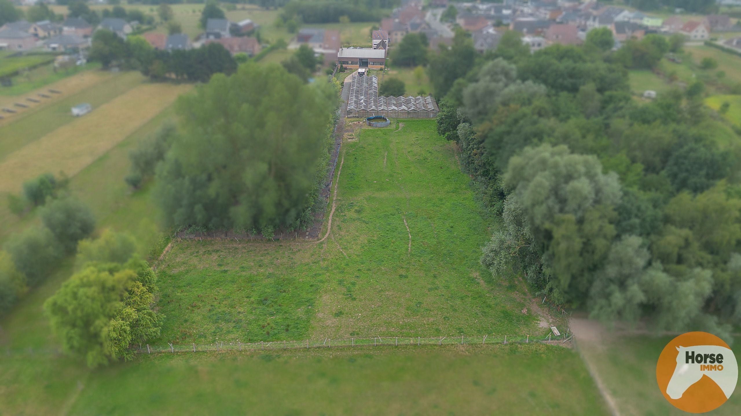ERPE-MERE - Goed onderhouden woning met magazijn en serres foto 30