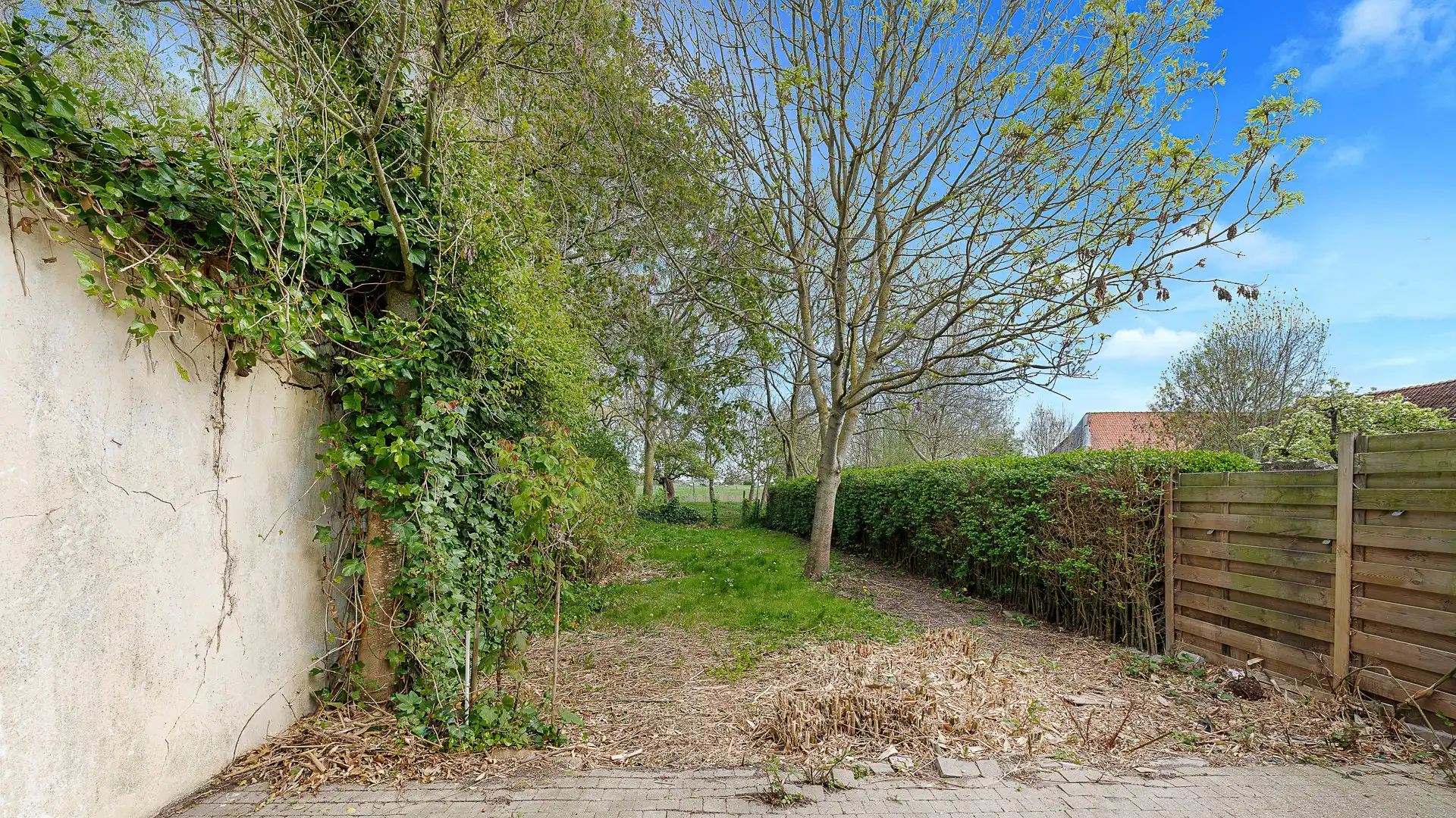 Woning met leuke tuin in het charmante Vlissegem foto 7