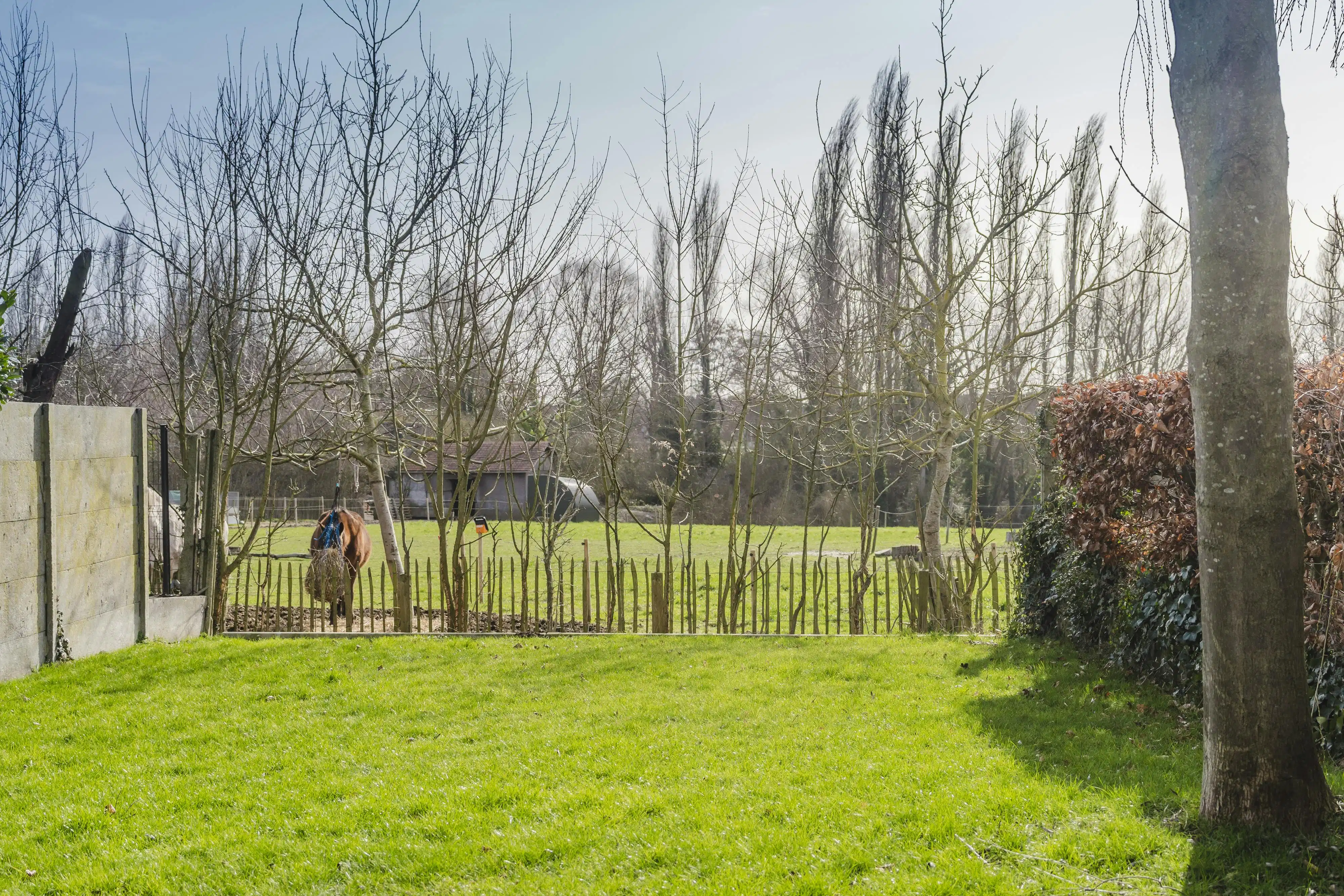 Nieuwbouwwoning met 4 slaapkamers te koop in Bissegem foto 13