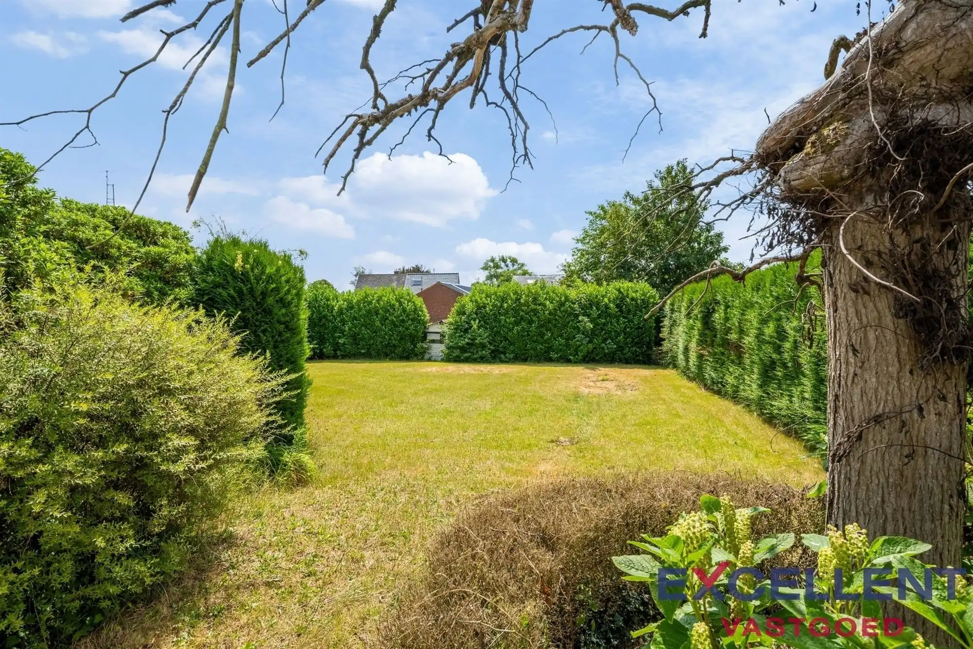 Architecturale bungalow op groot perceel Deinze foto 8