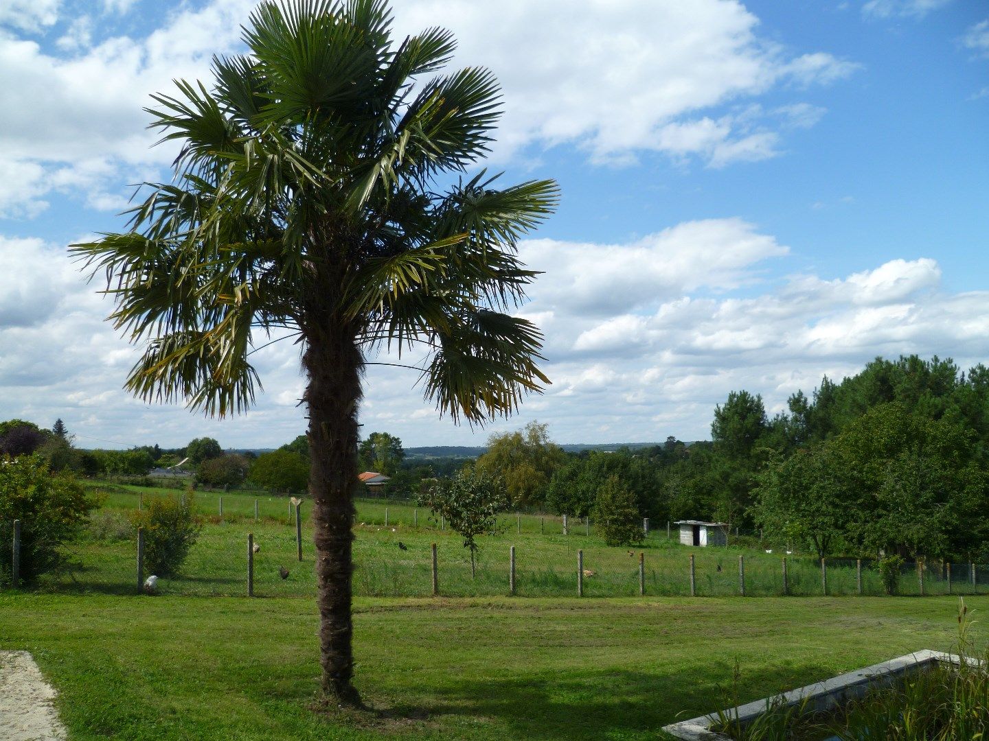 Villa op ruim domein met zwembad foto 4