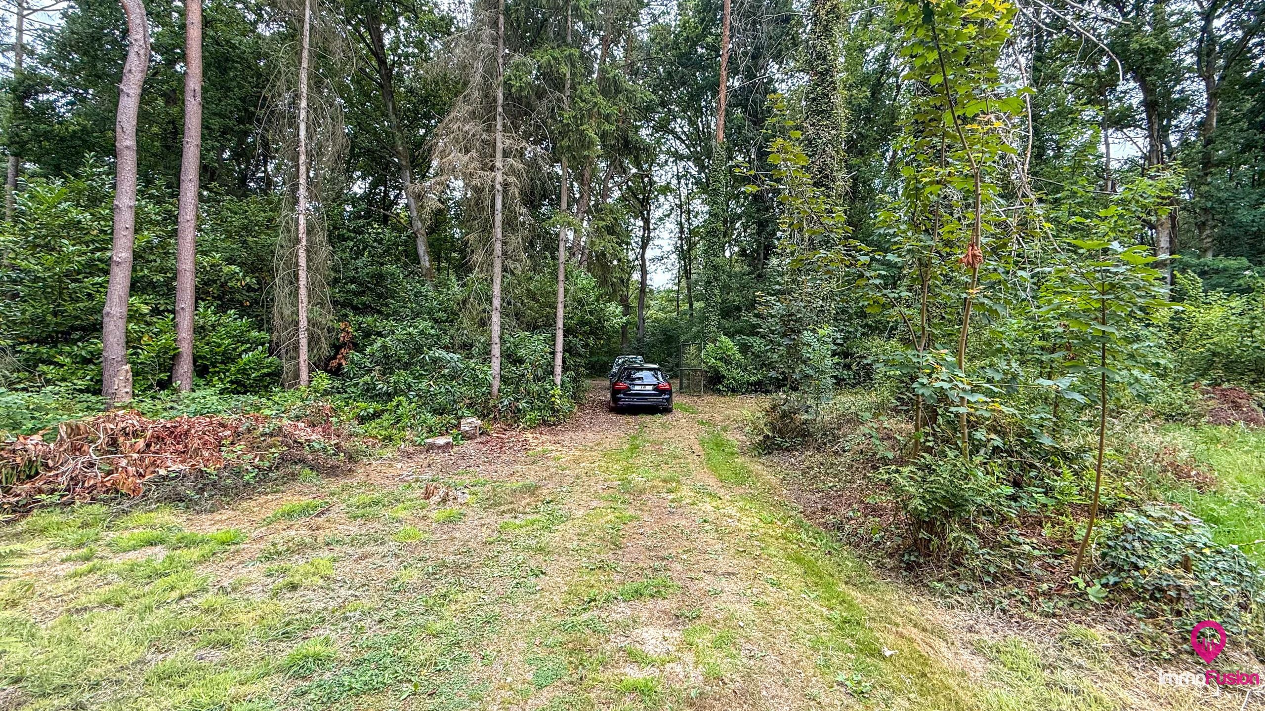 Droom buitenverblijf in Hasselt voor natuurliefhebbers!  foto 36