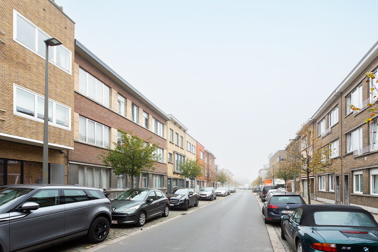 Appartement met uitzicht op 38 kleurrijke papegaaien! foto 13