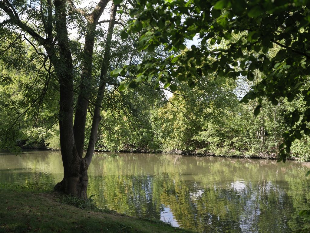 Vrijstaande villa (te renoveren) op slechts 50 meter van de Leie foto 2