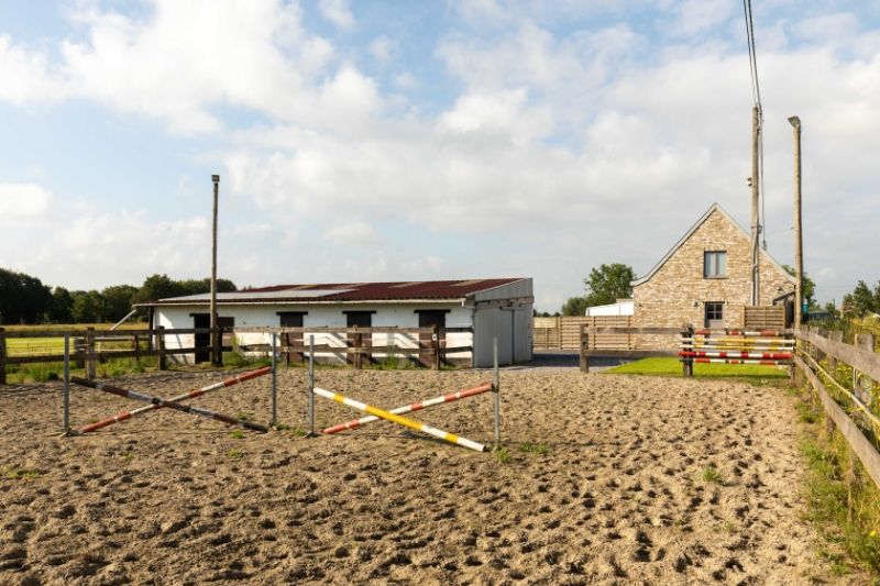 Groot-Diksmuide. Nieuwkapelle. Idyllisch gelegen charmante PAARDENHOEVE MET STALLINGEN, PADDOCK EN WEILAND gelegen in uitgestrekt natuurgebied en waterbeddingen.  UNIEK STUKJE PARADIJS foto 9