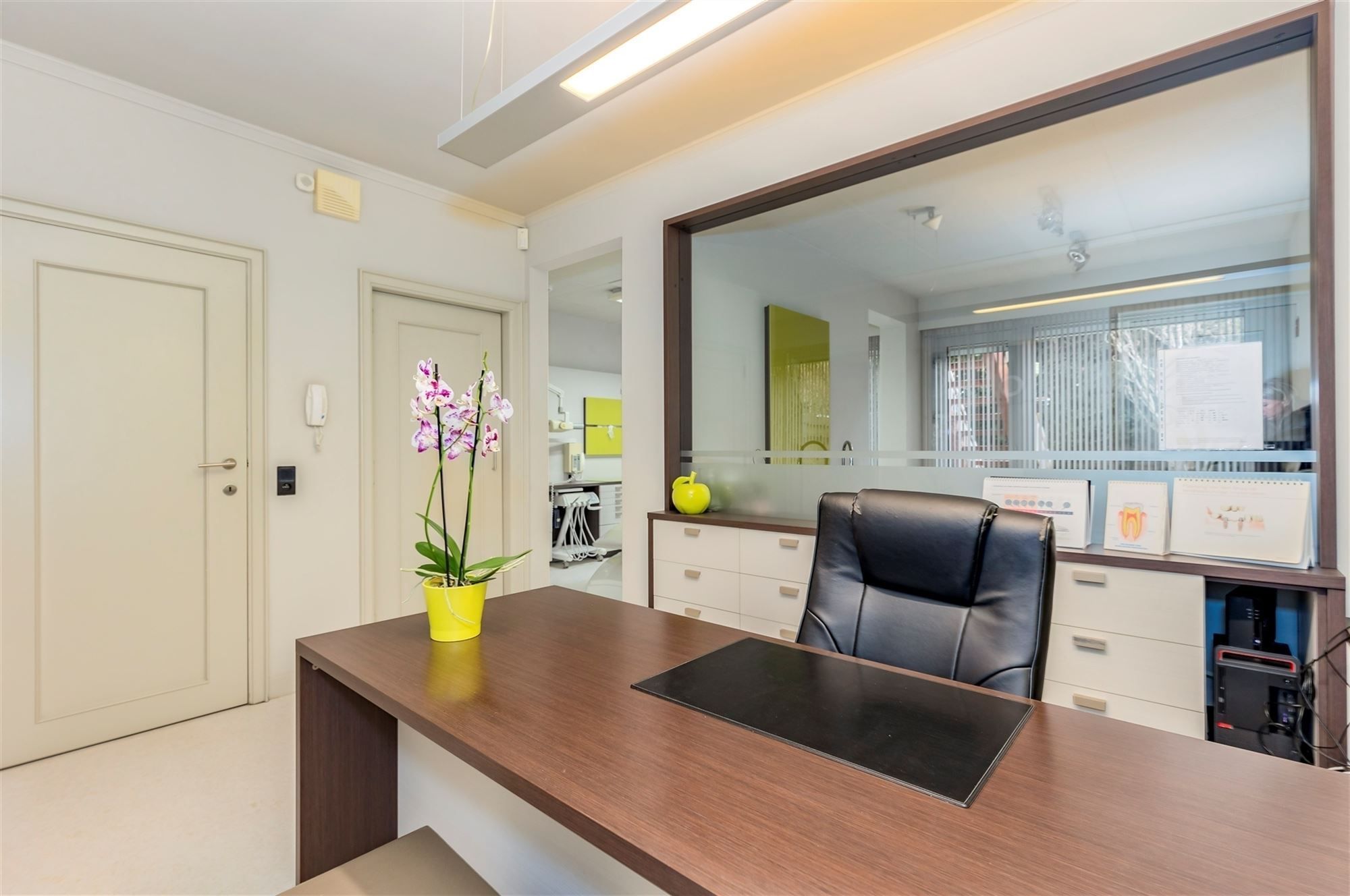 Praktijkwoning met 6 - 7 slaapkamers en gezellige tuin foto 6