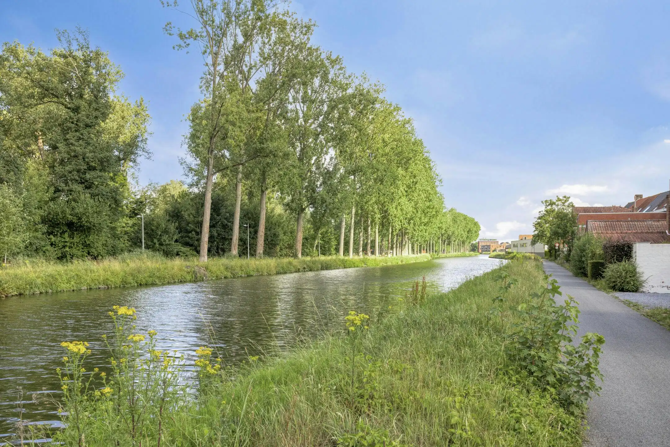 Opbrengsteigendom te koop op toplocatie te Assebroek  foto 6