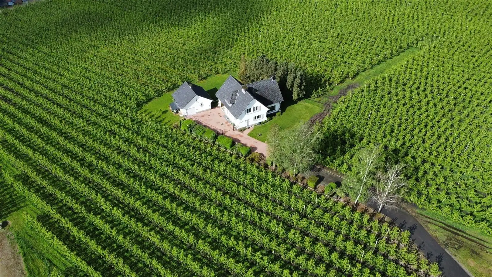 Villa + voorgelegen bouwgrond in residentiële straat  foto 22