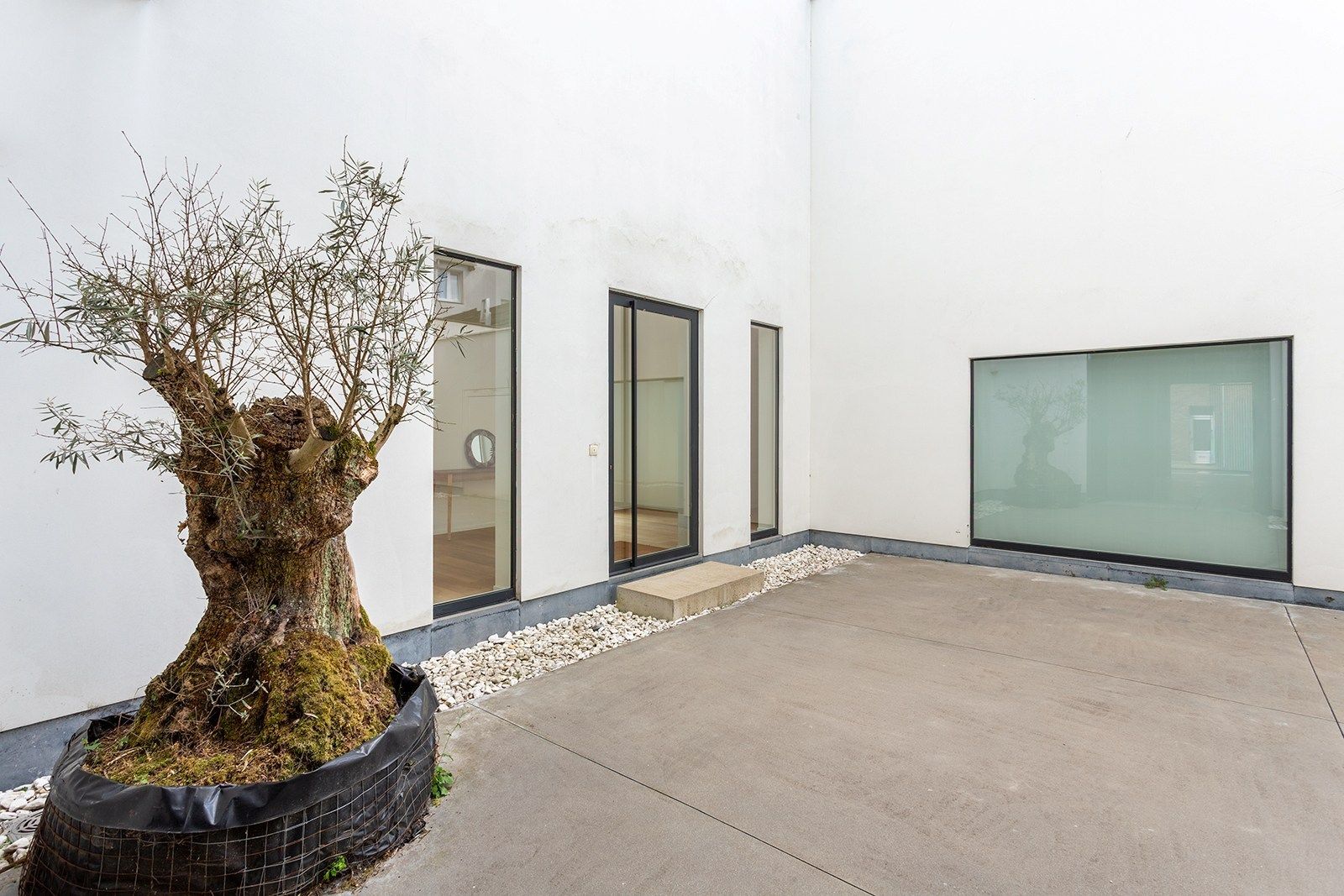 A hidden gem in Oud Berchem foto 20