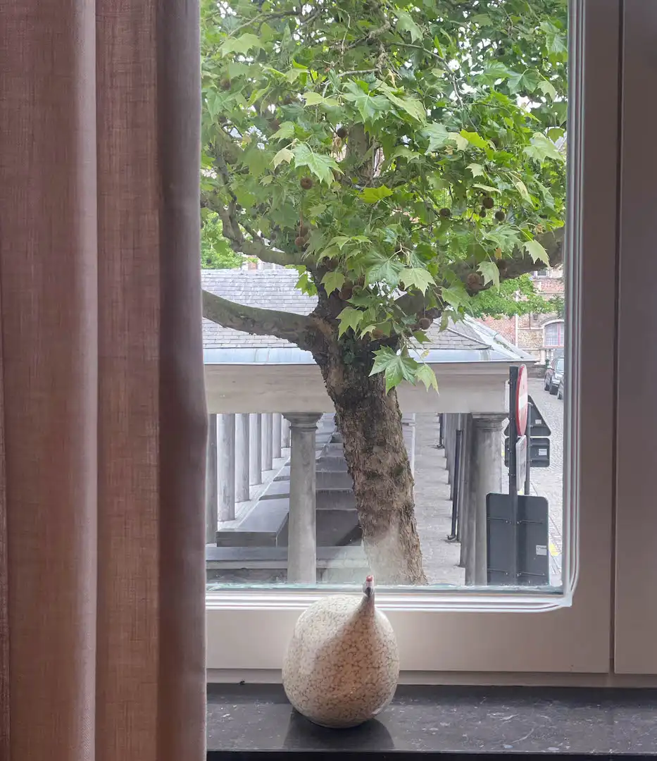 Exclusief wonen met zicht over de Vismarkt in hartje Brugge foto 8