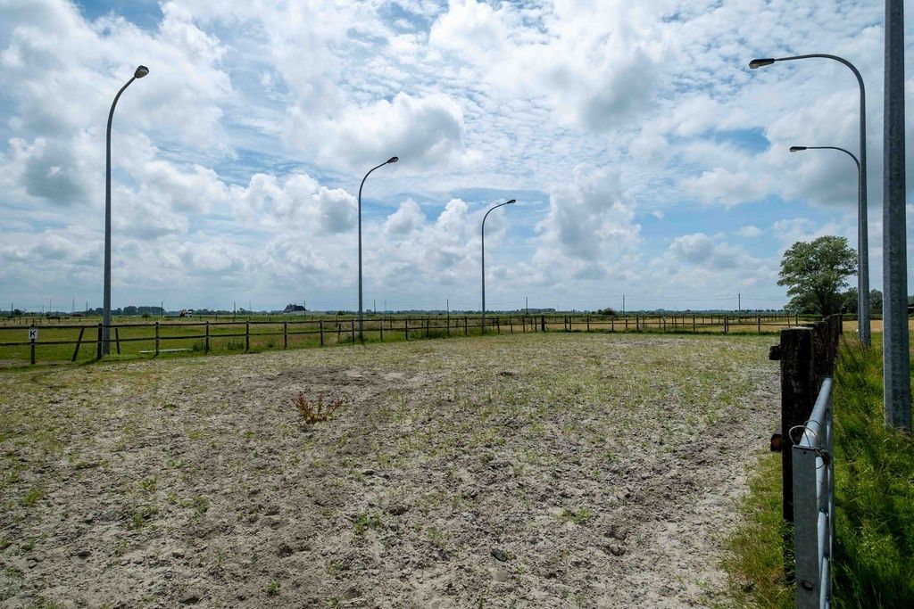 HOEVE op 6,9 HA met NIEUWE VERGUNNING voor PAARDENFOKKERIJ foto 6