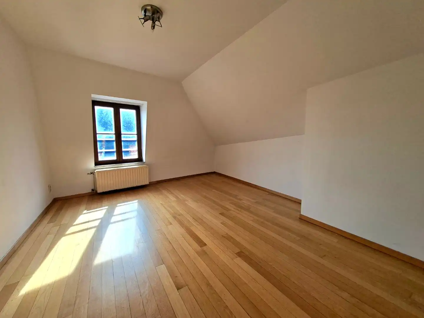 Ruim dakappartement foto 5