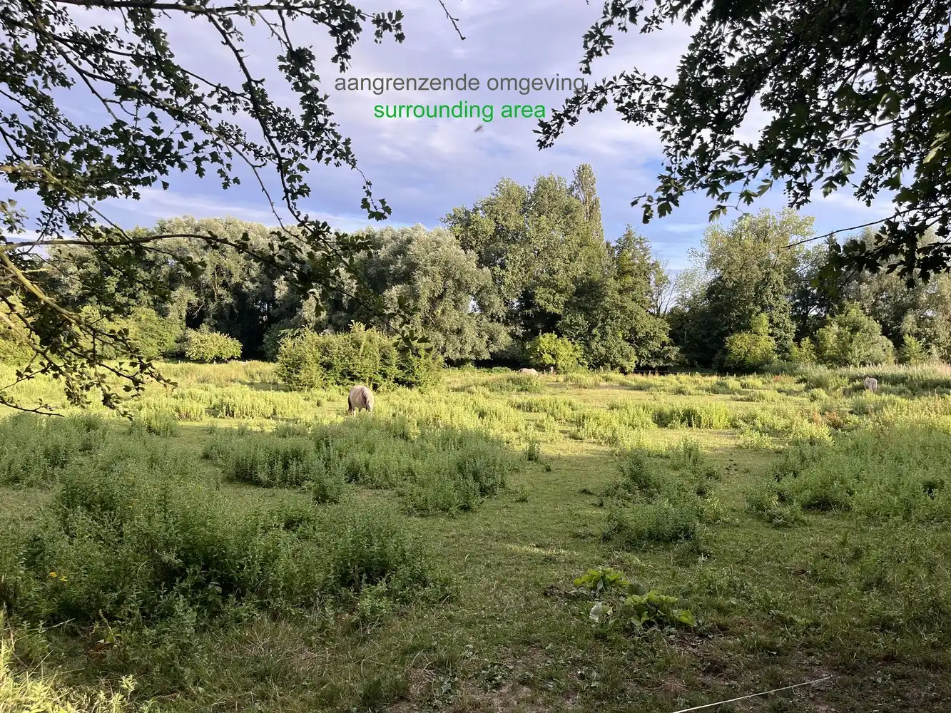idyllisch 19e eeuws landhuis, unieke ligging omringd door een prachtig natuurgebied foto 28
