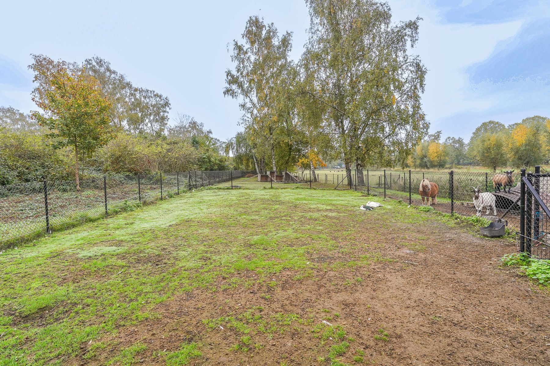 Perfect instapklare, volledig gerenoveerde woning met alle comfort te Kapelle-op-den-Bos foto 32