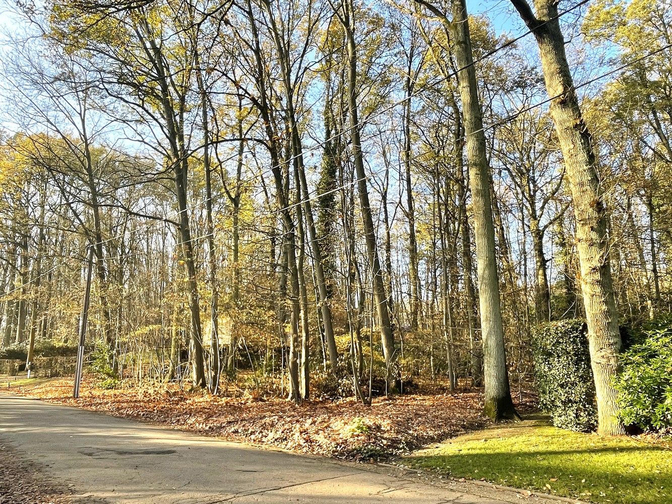 Exclusief perceel bouwgrond te Hoog-Linden foto {{pictureIndex}}