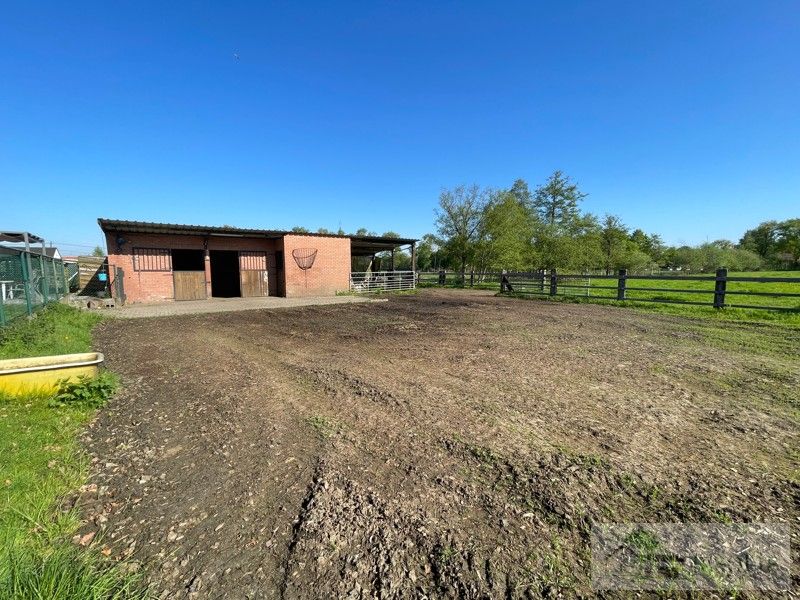 Landelijke woning op 90a85ca - met vergunde stallen foto 4
