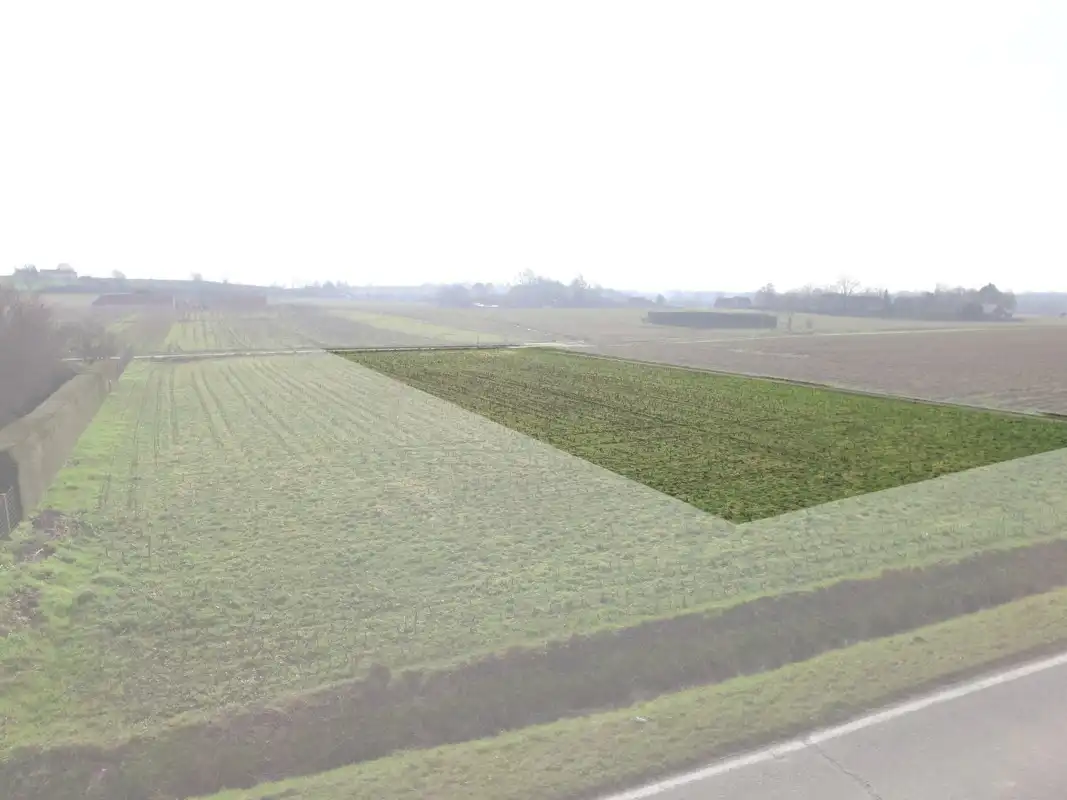 Bouwgrond te Oudenaarde voor villa/open bebouwing foto {{pictureIndex}}