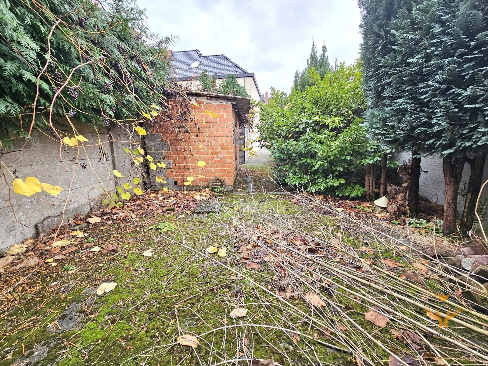 Ruime vrijstaande woning met 5 slaapkamers foto 4