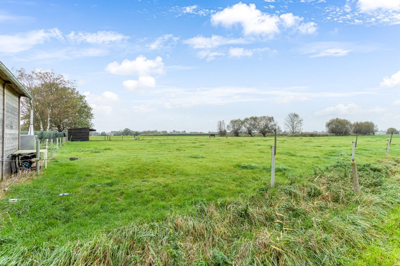 Mooi stuk weiland van 7490m² met schuilhok te koop in Hoevenen foto 3