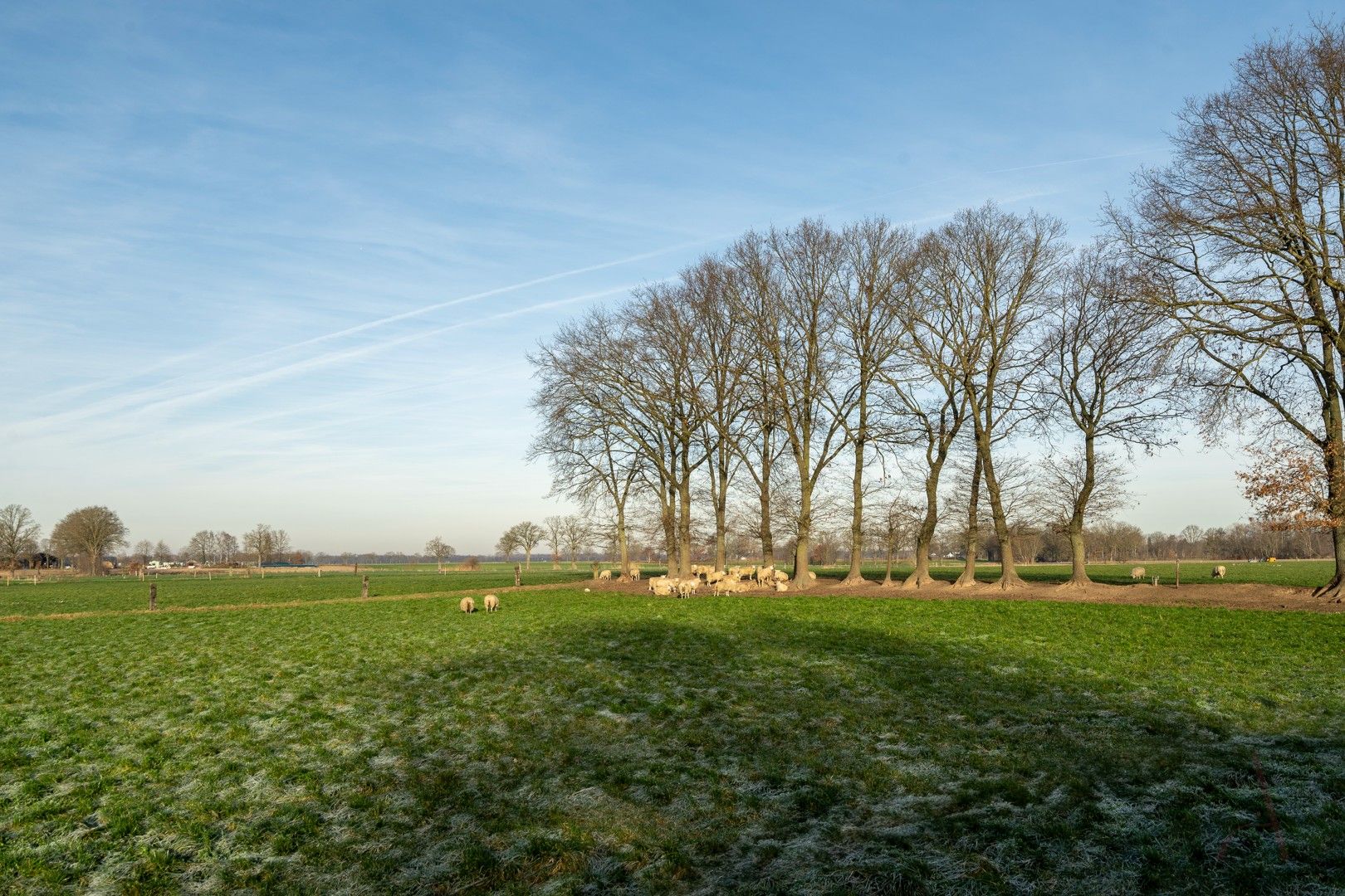 Karaktervolle langegevelhoeve met potentieel op 2.103 m², omgeven door weilanden en rust foto 19