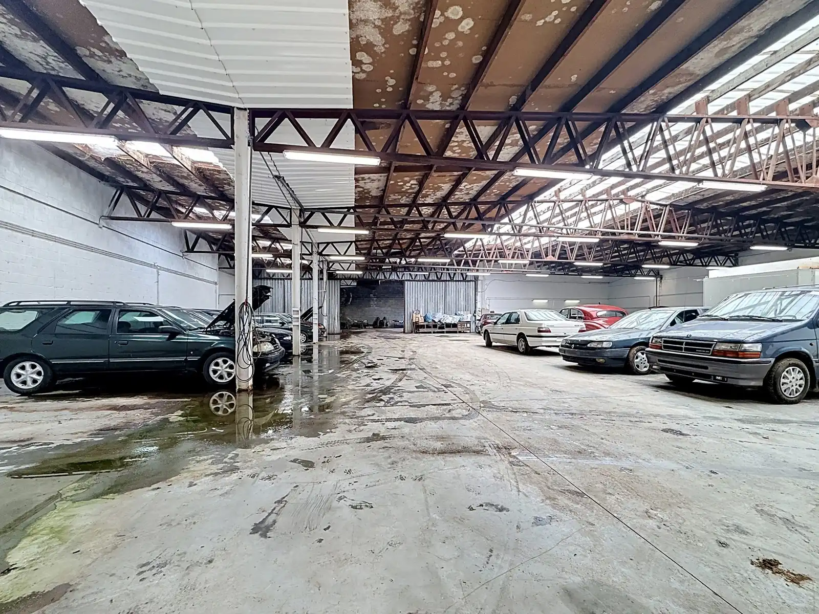 Unieke projectgrond met potentieel in Zichem foto 9