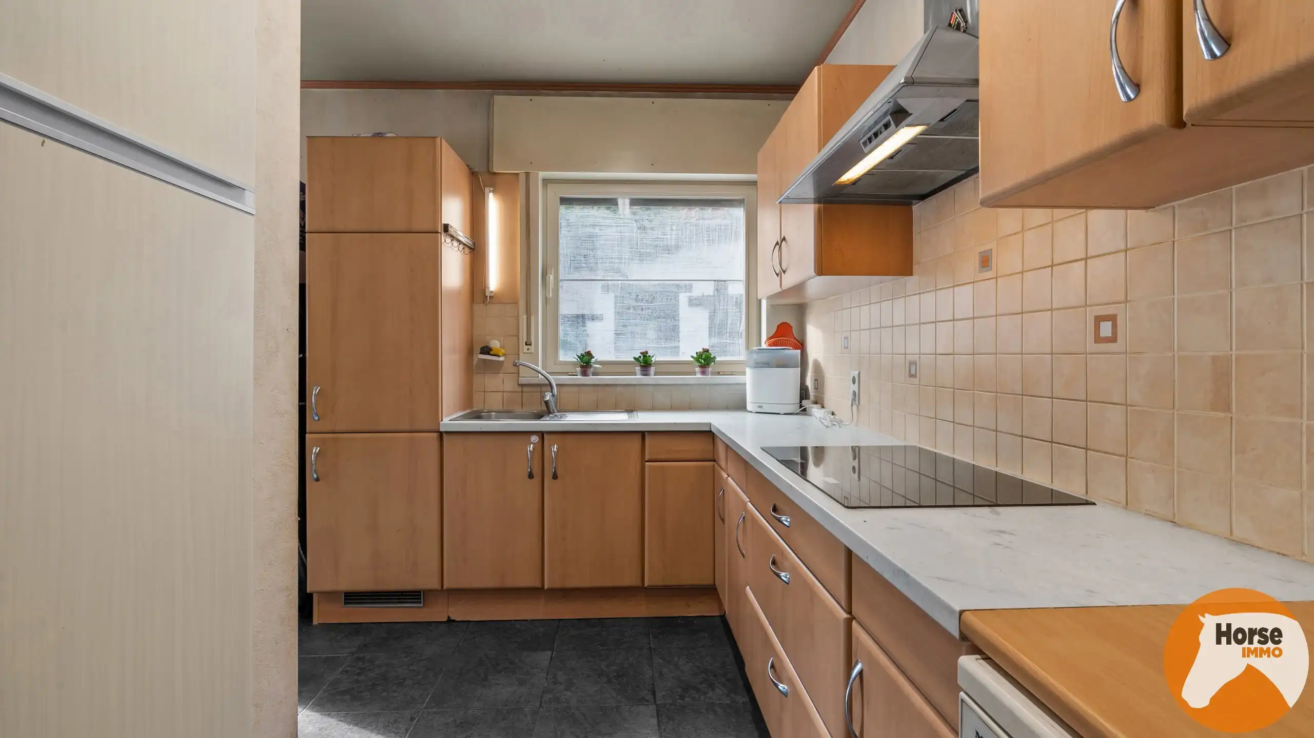 OORDEGEM - Woning met loods op 2,7HA foto 14