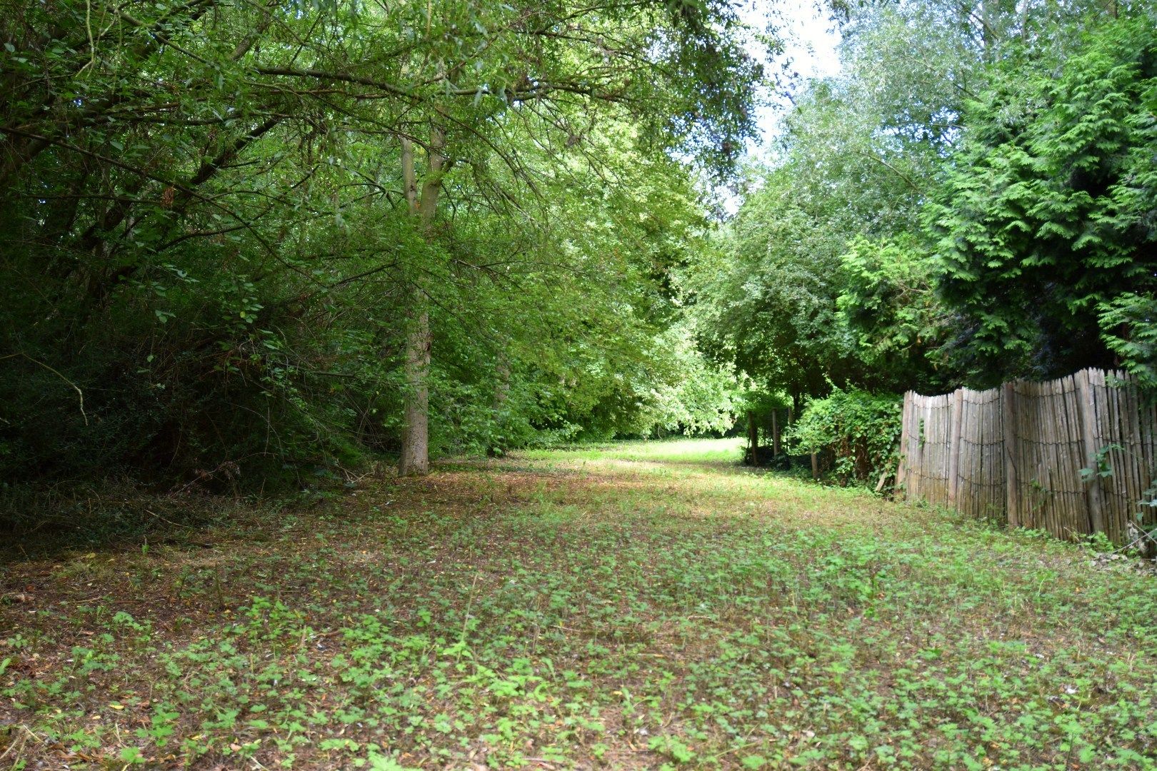 Ruim perceel grond van 2.325m² in groene omgeving  foto 4