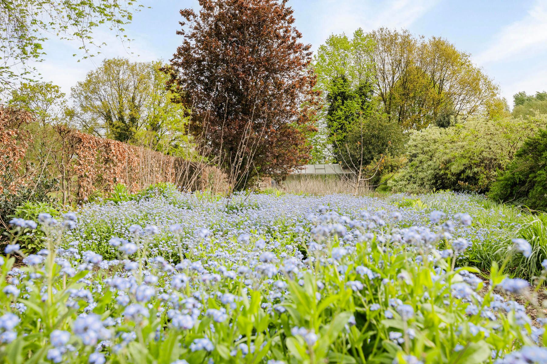 Instapklare villa met weide en zwemvijver! foto 26