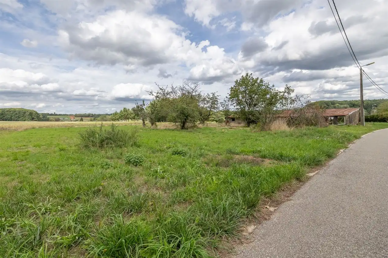 Te renoveren boerderij met 2 weides (45a en 21a) en ruime hangaar foto 33