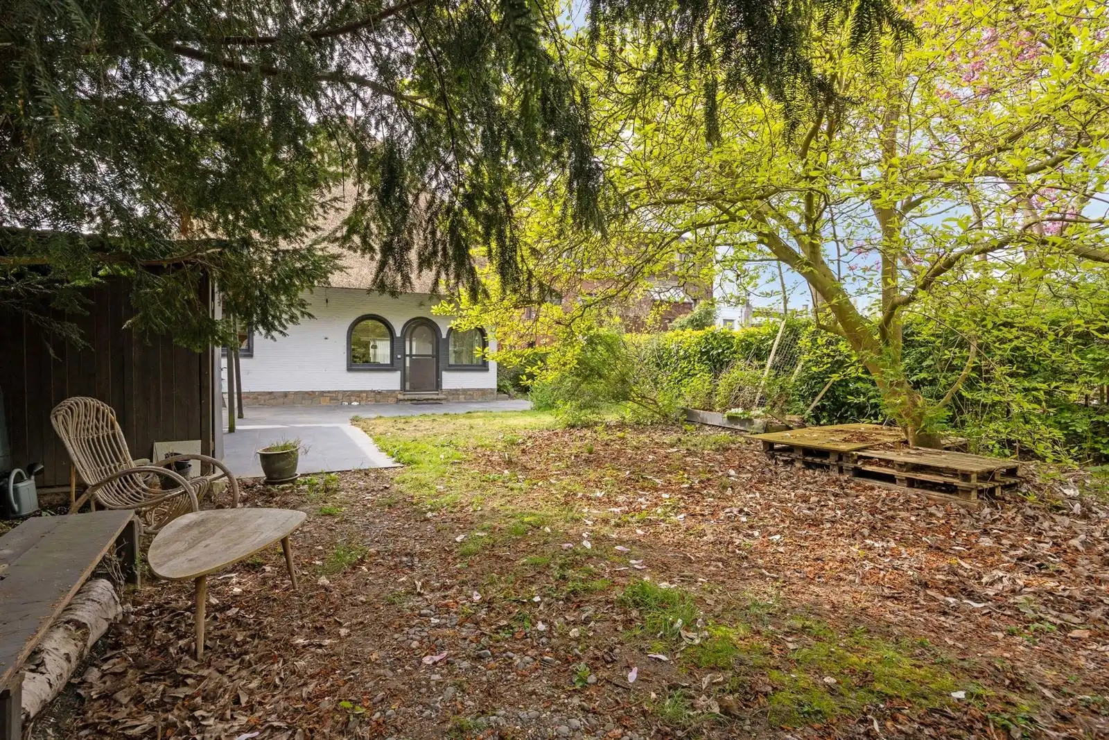 Kottage woning met woon- werk mogelijkheden  foto 28