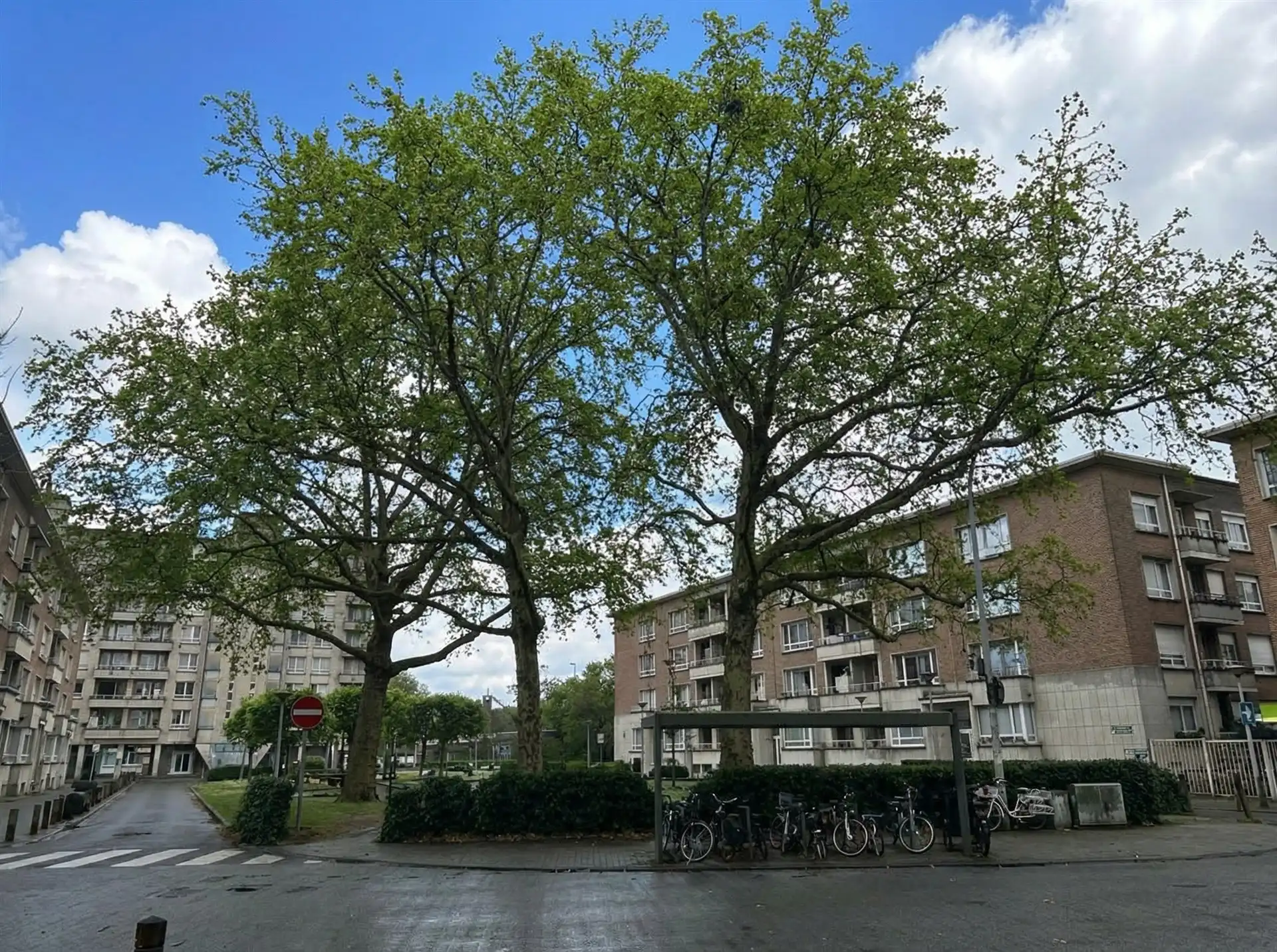 Opbrengsteigendom te 2020 foto 4