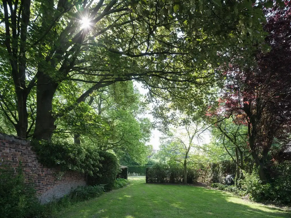 Charmante gezinswoning met oprit en dubbele garage op een rustig perceel van ca. 1632 m² foto 2