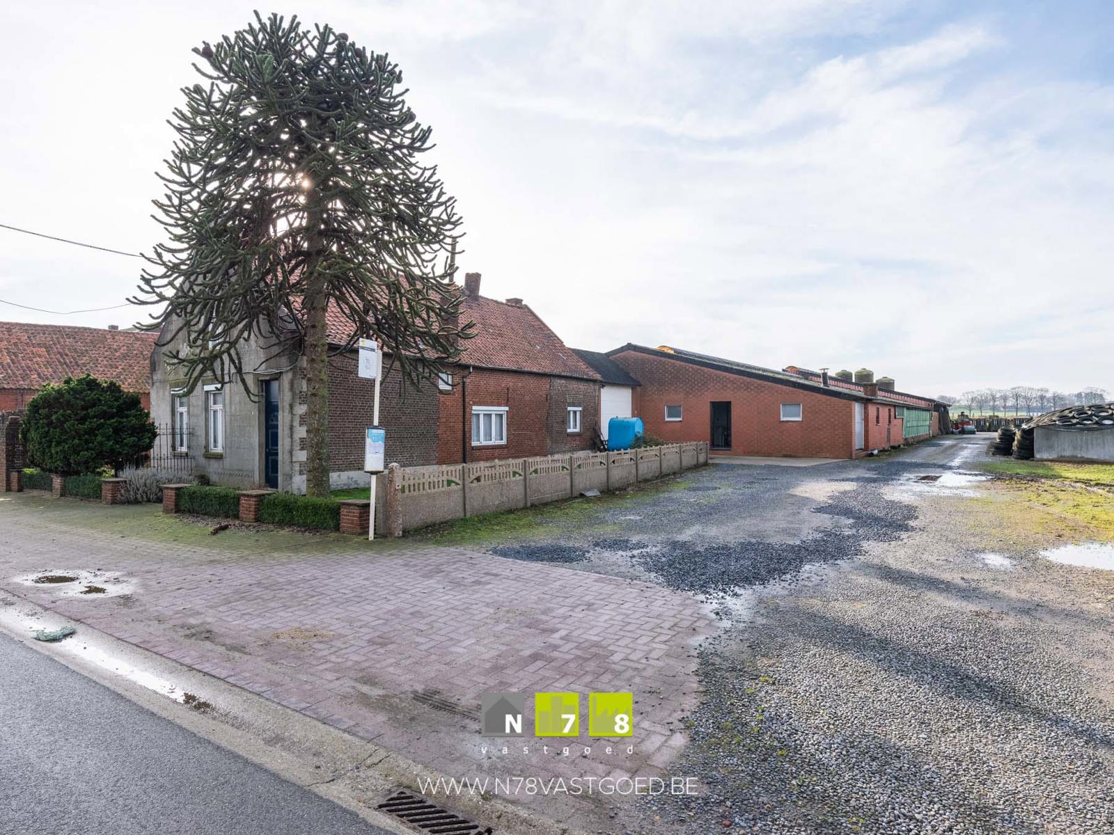Boerderij te koop foto 18