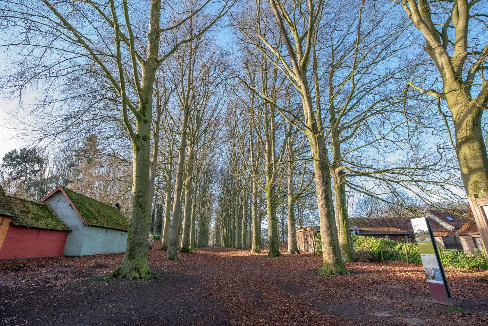 Ruim handelspand met 2 woningen te koop centrum Lozer. Tal van mogelijkheden! foto 11