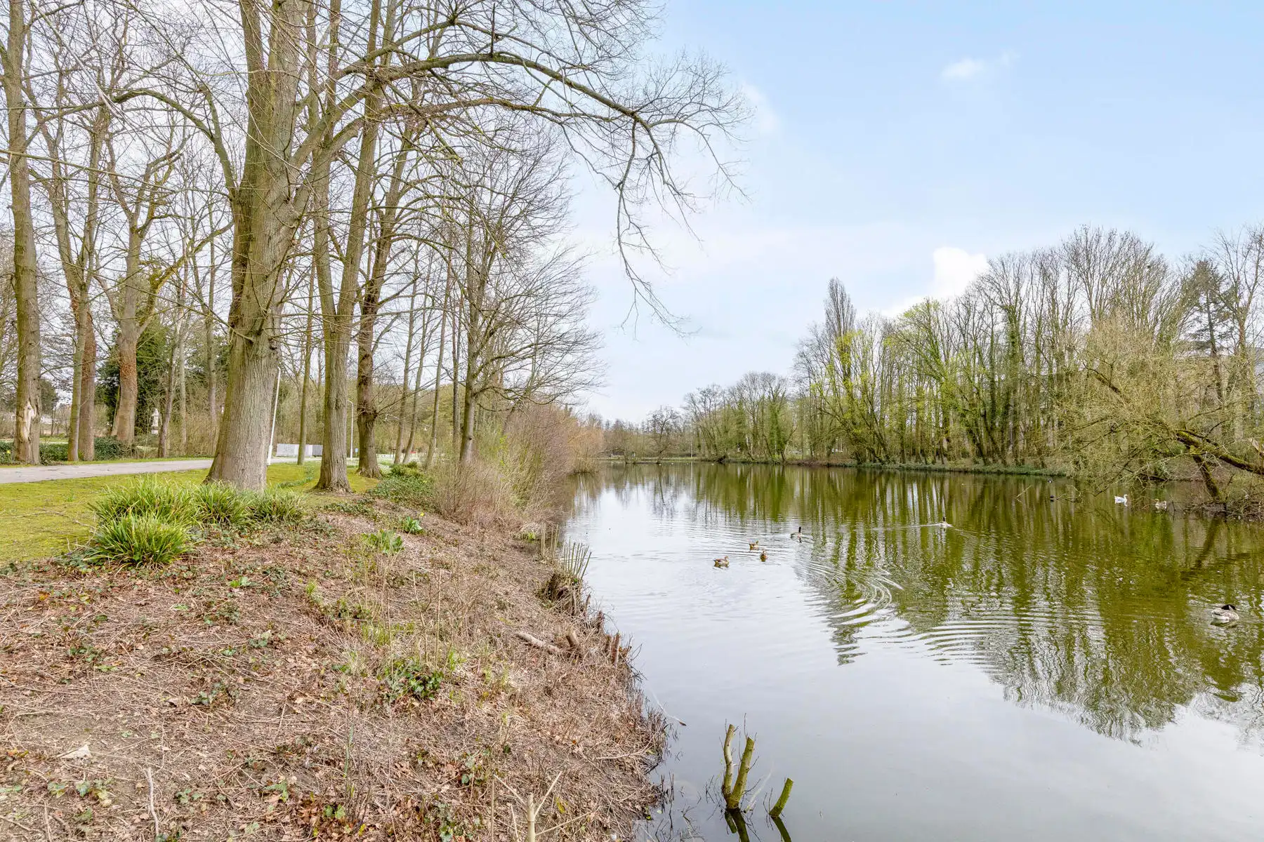 Ruime assistentiewoning met twee slaapkamers op topligging foto 29