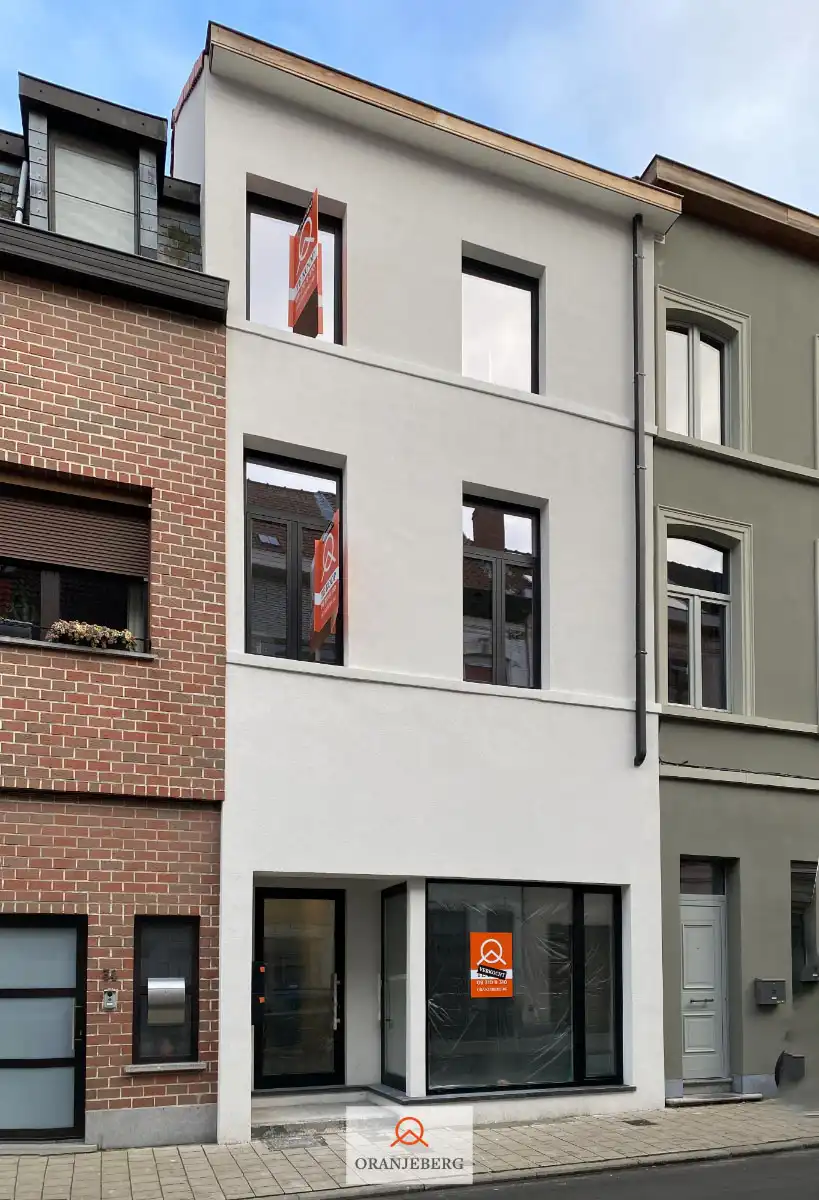 Gerenoveerd 1 slaapkamer appartement foto 4
