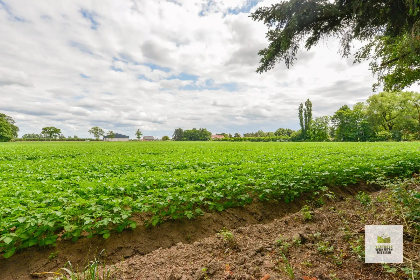 Ruim perceel bouwgrond (990m2) in idyllische omgeving te Lakebossen Zwevezele  foto 8