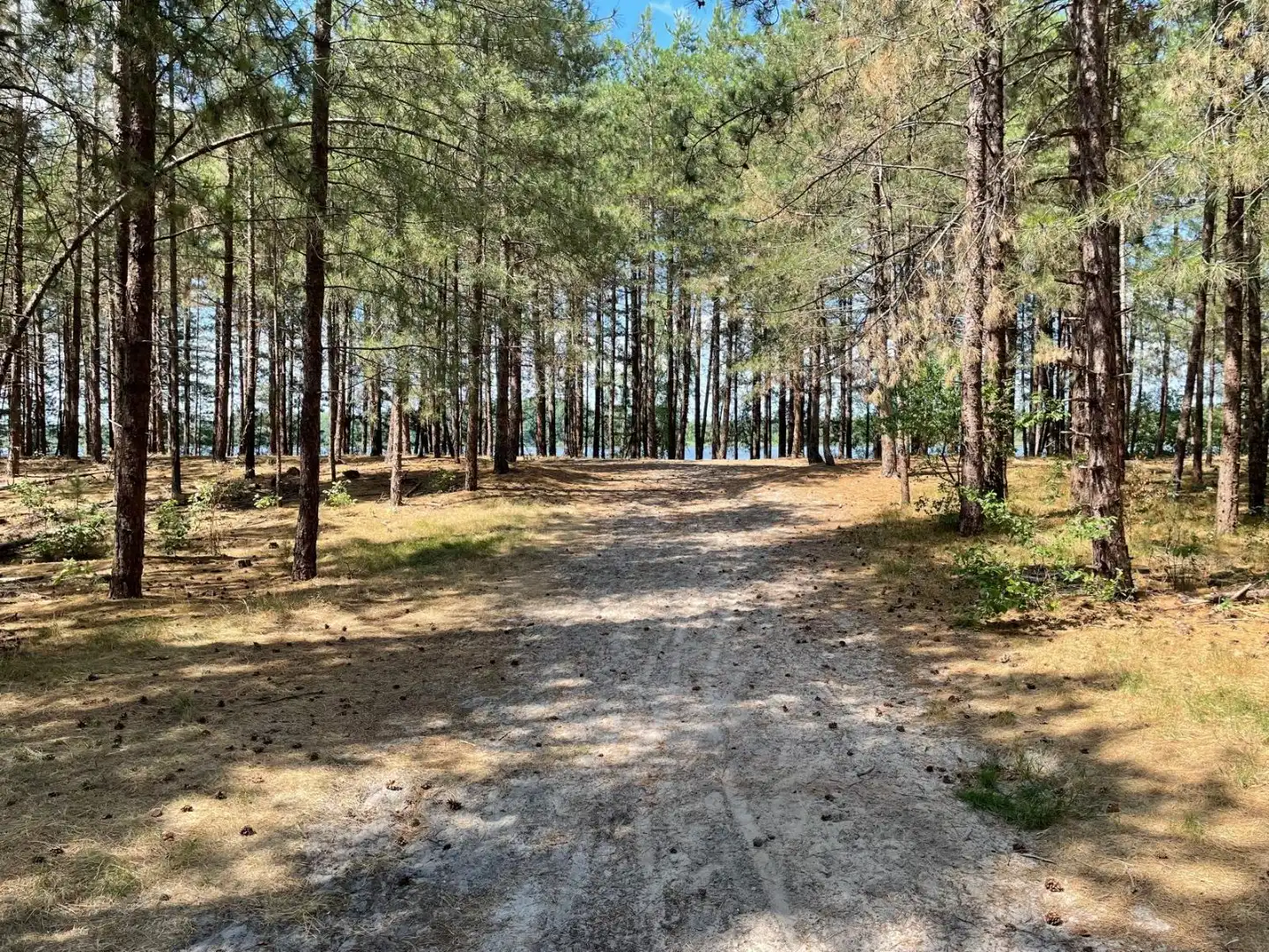Twee halfopen bebouwingen samen te koop  met uitzicht op natuur en water foto 9