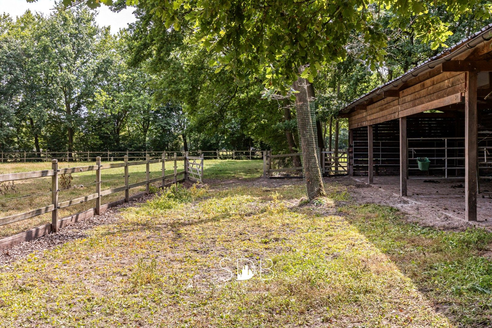 Prachtige landelijke villa met gezinstuin en graslanden op 32.558m² foto 44