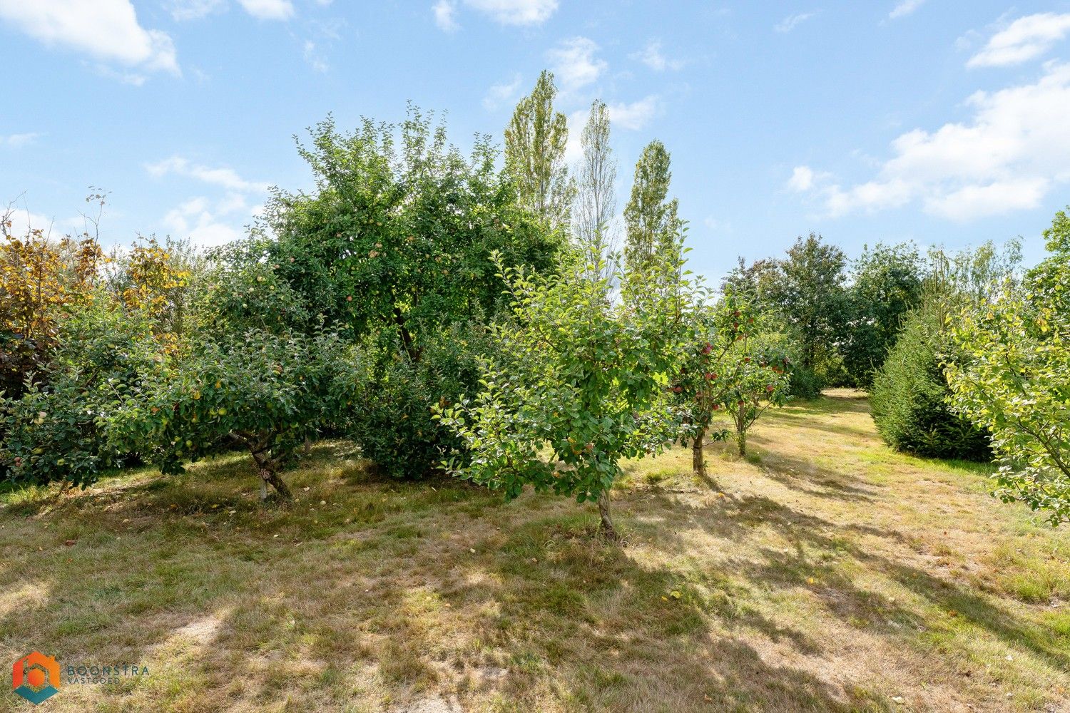 Woning met 4 slpkrs op een perceel van 13.598 m² te Sint-Katelijne-Waver foto 26