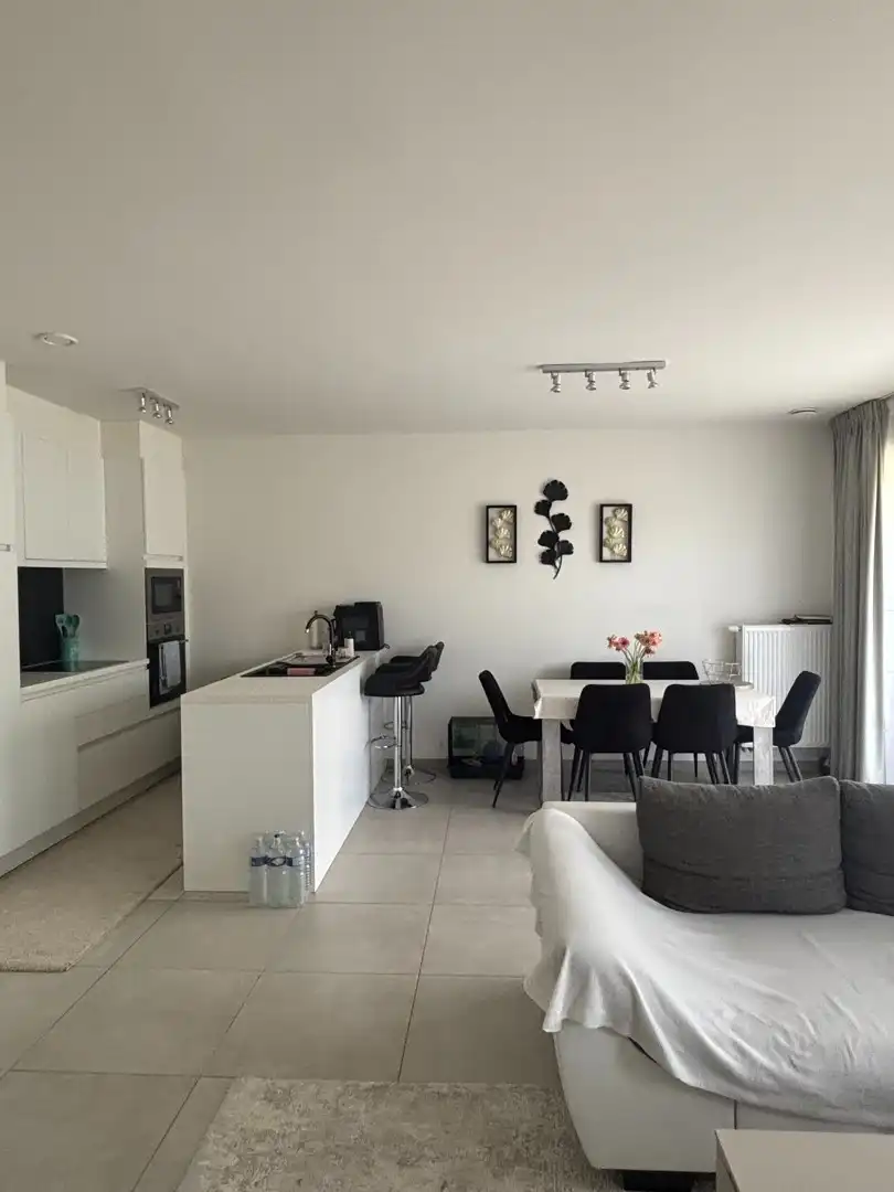 LICHTRIJK EN ENERGIEZUINIG 2-SLAAPKAMERAPPARTEMENT MET TWEE TERRASSEN EN PARKEERPLAATS foto 4