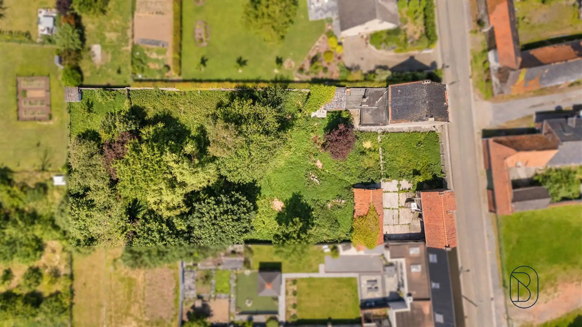 Totaal te renoveren woning met bijgebouwen op 1570m2 foto 26