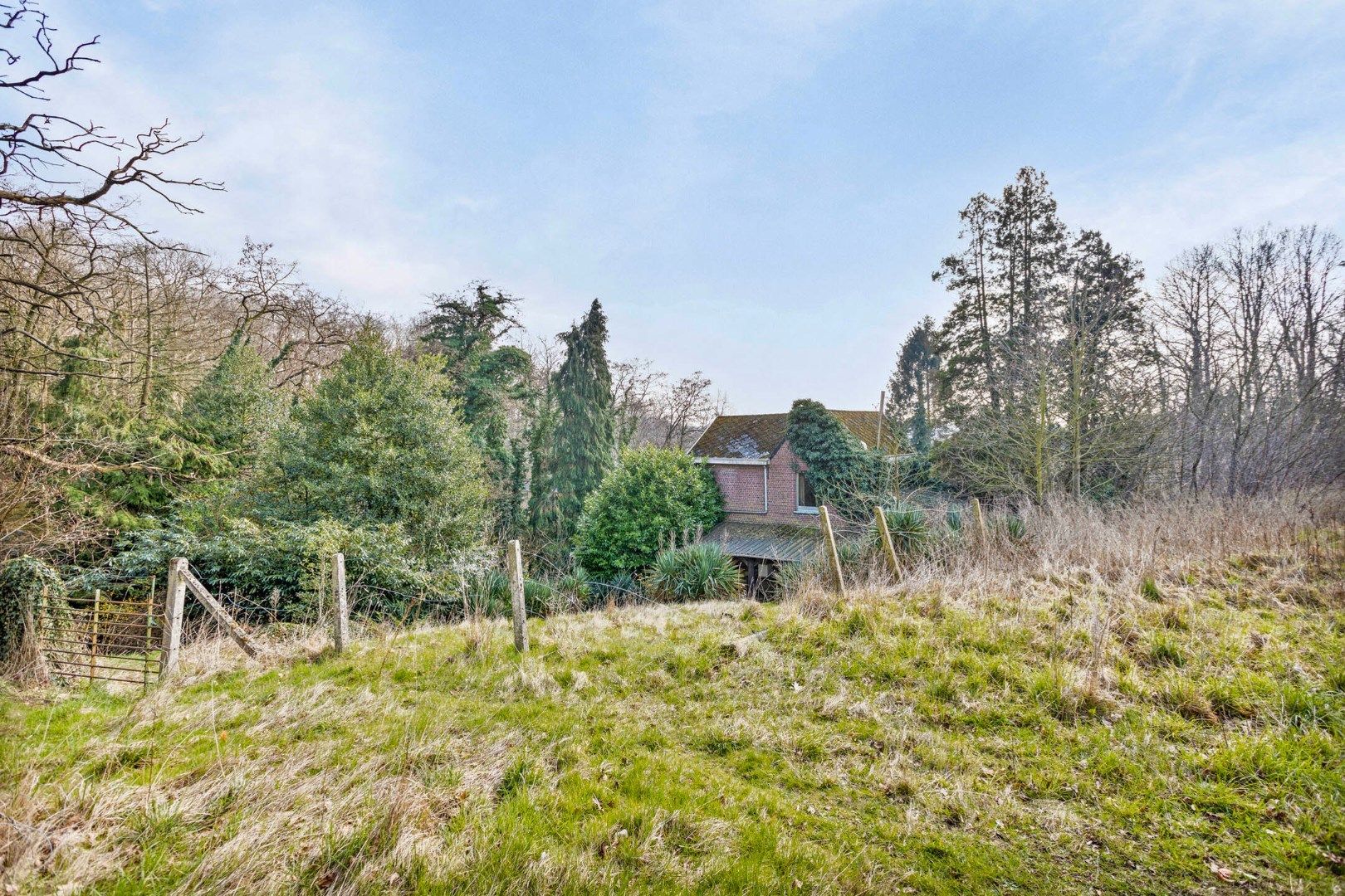 Uniek project: te renoveren woning op een perceel van bijna 1 hectare in Kessel-Lo. foto 24